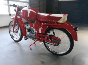 Motori Paglianti 48cc