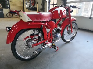 Motori Paglianti 48cc