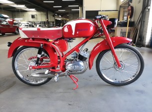 Motori Paglianti 48cc