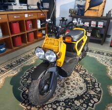 2009 Honda NPS50 Zoomer