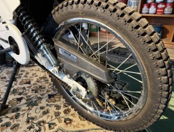 1980 Honda MT50 Wit Blauw VT774 | Transport | Bromfiets / Motor