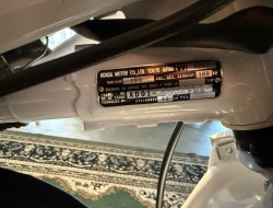 1980 Honda MT50 Wit Blauw VT774 | Transport | Bromfiets / Motor