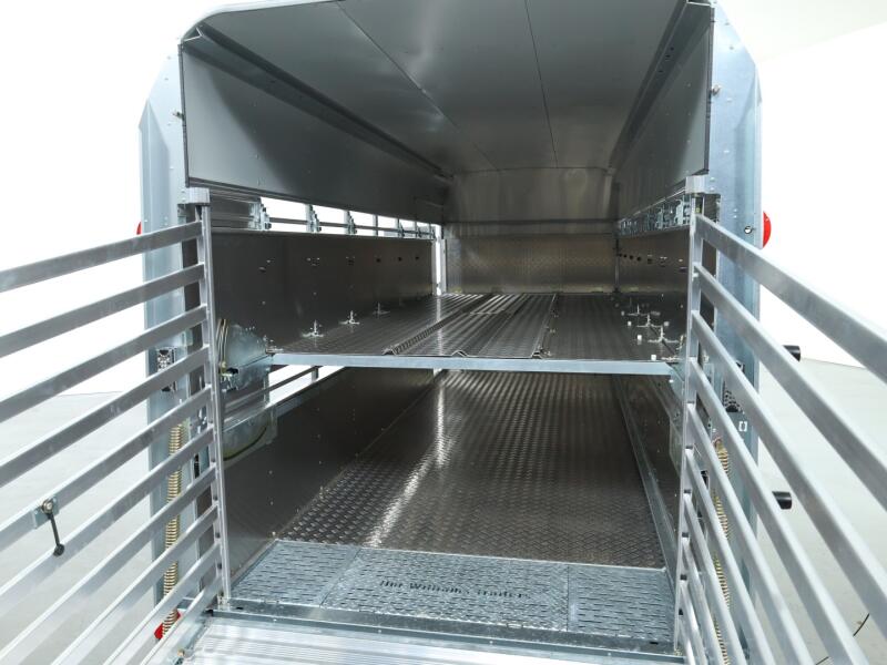 2026 Ifor Williams TA510 16x7 (497x178x212cm) Dubbeldeks Schapentrailer/ Veetrailer VT1087 | Aanhangwagen | Veetrailer